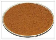 Cosmetic Rosemary Antioxidant Extract , Rosemary Extract Powder CAS 20283 95 5