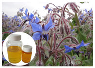 Borage Seed Organic Plant Oils Omega 6 Gamma Linolenic Acid Lower Blood Pressure