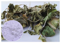 Gotu Kola Leaf Centella Asiatica Extract Powder Oxidation Resistance