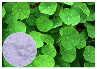 Anti Inflammatory Gotu Kola Leaf Extract , Natural Centella Asiatica Leaf Extract