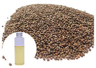 Food Grade Perilla Essential Oil Liquid , Cold Pressing Natural Plant Oils