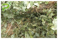 Men Health Care Plant Extract Powder Herb Horny Goat Weed / Epimedium Extract Icariin CAS 489 32 7