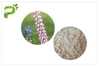 Lupeol Plant Extract Powder Anti Inflammatory High Purity 98% CAS 545 47 1