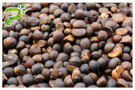 Camellia Oleifera Tea Saponins Natural Pesticides Powder Abel Seed Extract