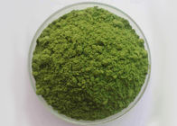 8.0% Ash Green Health Powder Spinach Leaf Extract Powder 20kg/ Box