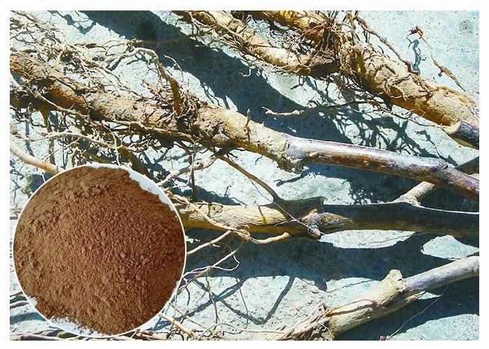 Treat diabetes Phlorizin Apple Tree Root &amp; Bark Extract for dietary supplement