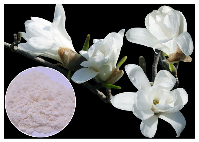 50% - 95% Magnolol Magnolia Bark Supplement , Magnolia Officinalis Bark Extract HPLC Test
