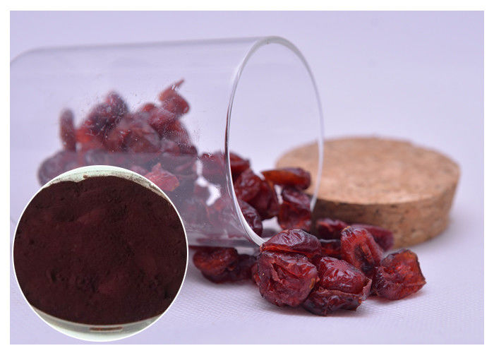 Skin Moisturizing Antibacterial Plant Extracts Dark Red Powder From Cranberry