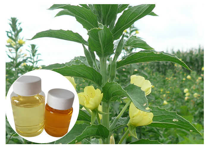Women Menopause Natural Dietary Supplements GLA 10% Yellow Evening Primrose Oil