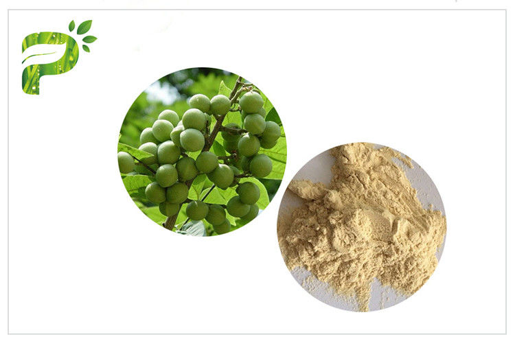 UV Test Soapnut Extract , Saponins Natural Surfactant Cosmetic Plant Extract