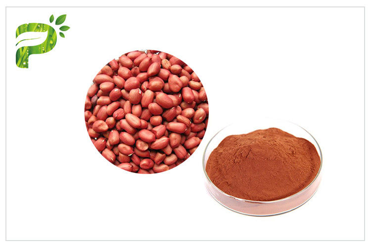 Anti Aging Proanthocyanidins PACs , Peanut Skin Extract For Dietary Supplement