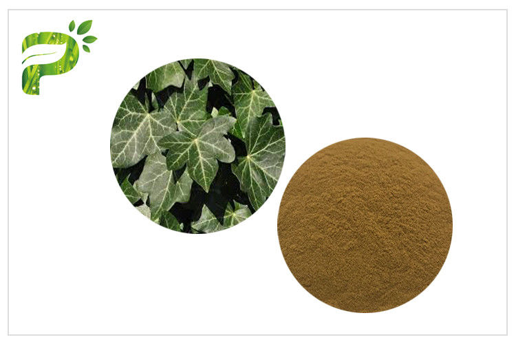 Hedera Helix Hederacoside Plant Extract Powder Ivy Leaf Extract Treat Cough And Cold