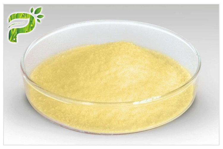 Panax Ginseng Extract Powder Natural Dietary Supplements Ginsenosides Active Ingredient