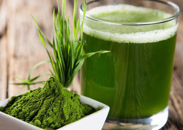 100 Mesh Green Health Powder Barley Grass Juice Powder For Food Supplement
