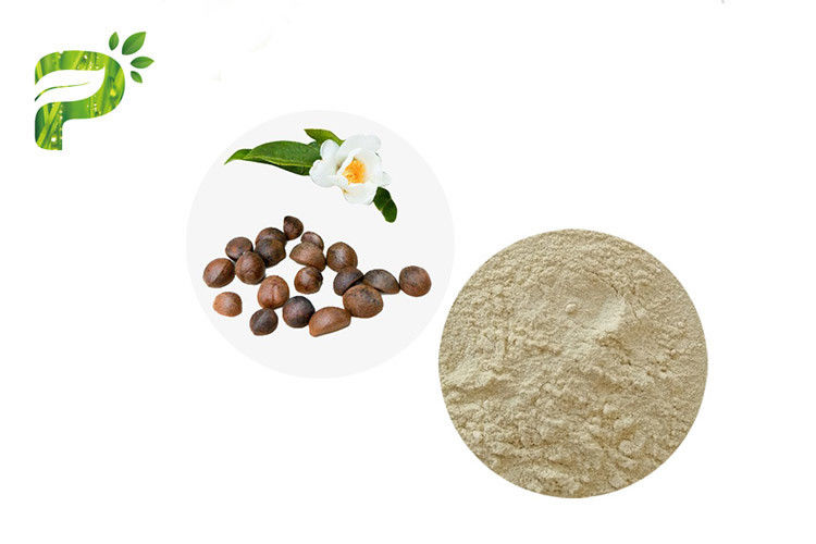 Abel Seed Tea Saponins Organic Pesticides Powder Camellia Oleifera UV Test