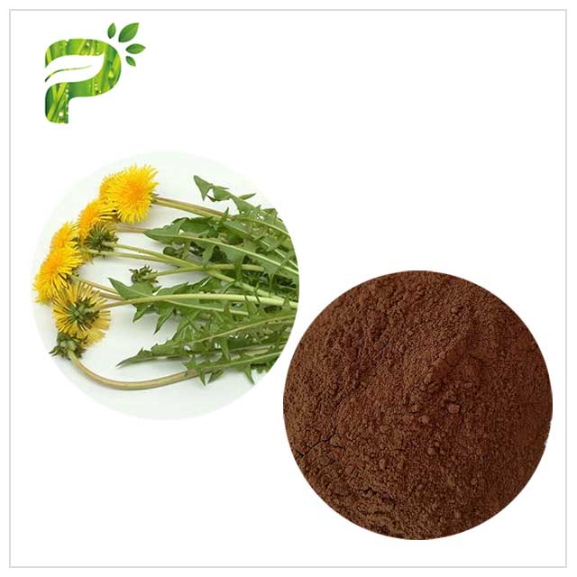 Powerful Antioxidant Natural Dietary Supplements Brown Dandelion Root