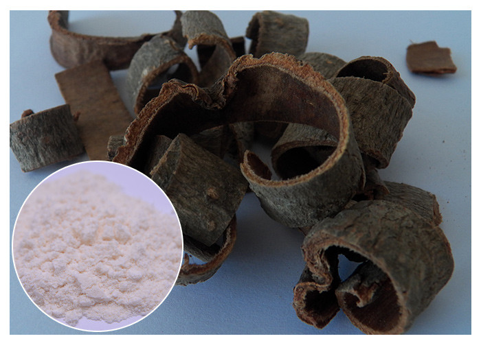 Magnolia Bark Antifungal Plant Extracts Protecting Liver CAS 528 43 8