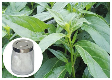 98% Andrographis Paniculata Supplement Powder Anti Cancer With HPLC Test