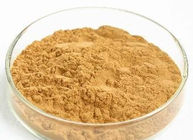 Powerful Antioxidant Natural Dietary Supplements Brown Dandelion Root Extract Powder