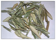 Anti Inflammatory Natural Olive Leaf Extract Powder Reducing Bad Cholesterol