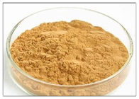 Dandelion Root Plant Extract Powder Flavones Improving Immunity For Dietary Supplement