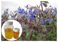 Omega 6 Cosmetic Plant Extract , Borage Oil Supplement For Skin Disorder