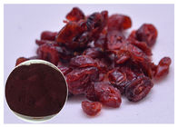 Anti Oxidation PACs Pure Cranberry Extract For Dietary Supplements UV Test