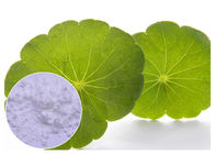 Leaf Extracted Centella Asiatica Powder Anti - Inflammatory With Water Solvent
