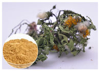 Lower Blood Pressure Herbal Plant Extract Flavones Dandelion Root Extract Powder