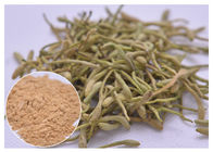treat cold, fever and infection Chlorogenic acid 5%, 25% Lonicera japonica Extract Honeysuckle flower powder