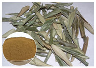Hydroxytyrosol 20% Pure Olive Leaf Extract , Olive Leaf Powder CAS 32619 42 4
