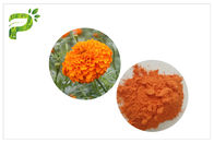CAS 127 40 2 Lutein Marigold Flower Extract , Marigold Extract Powder For Tablets