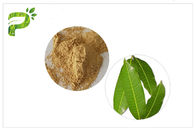 Skin Mangiferin Mango Leaves Powder Anti Oxidative Stress Cosmetic Ingredient For Treating Acne