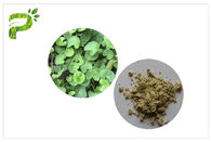 Powder Natural Cosmetic Ingredients Acne Gotu Kola Leaf Extract Asiaticoside Triterpenes