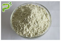 Plant Source Natural Dietary Supplements Protein Organic Hemp Seed Kernel Protein Powder 50% 60%