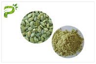 Plant Source Natural Dietary Supplements Vegan Protein 50% 60% Pumpkin Seed Protein Powder