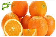Antioxidation Hesperidin Powder CAS 520 26 2 Orange Extract Citrus Aurantium Extract Sinensis