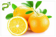 Anti Fungal / Bacterial Orange Extract Citrus Aurantium Extract Sinensis Hesperidin CAS 520 26 2