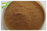 Brown Yellow Fine Powder Ginseng Root Extract 20(R)-Ginsenoside Rh2/Rg3 Anti Cancer