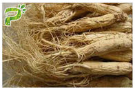 Panax Ginseng Extract Powder Natural Energy Supplements Improve Immune System
