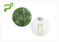 Eucalyptus Globulus natural plant oils 8000 48 4 Colorless to light yellow liquid