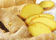 Hair Growth Natural Essential Oils Ginger Oil Obtained From Steam Distillation Of Ginger Root