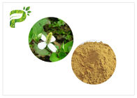 Traditional Plant Extract Powder Inflammation Houttuynia Cordata Thunb Extract Powder