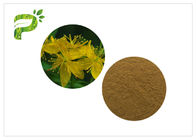 St. John Wort Hypericin Hyperoside Herbal Extract Powder CAS 548 04 9