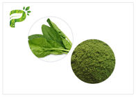8.0% Ash Green Health Powder Spinach Leaf Extract Powder 20kg/ Box
