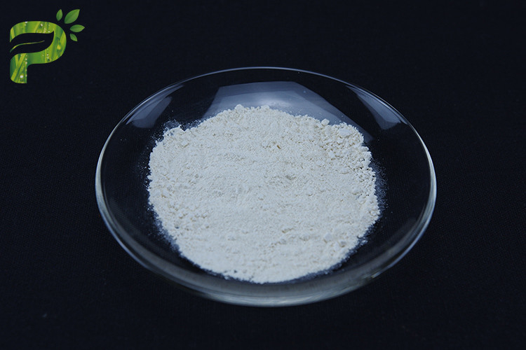 Cytidine Diphosphate-Choline CDP-Choline Citicoline Boost Brain Health CAS No. 987-78-0