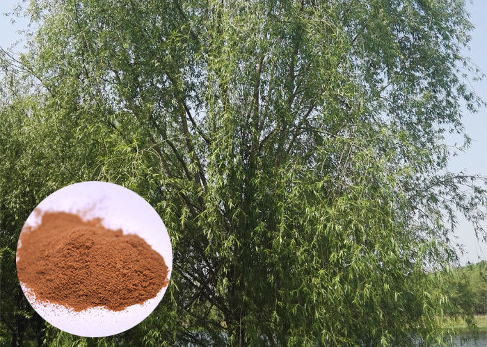 Salicin 98% Antifungal Plant Extracts White Willow Bark Extract Relieving Headache