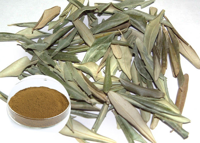 Anti Inflammatory Natural Olive Leaf Extract Powder Reducing Bad Cholesterol