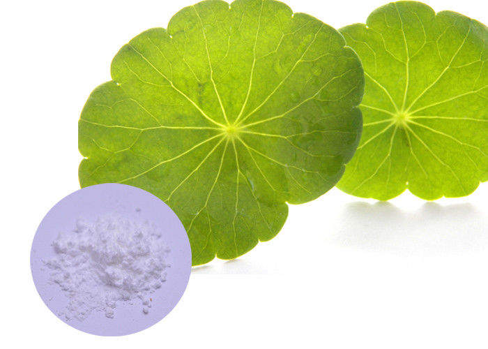 Gotu Kola Natural Cosmetic Ingredients 60 - 90% Leaf Extraction For Skin Care