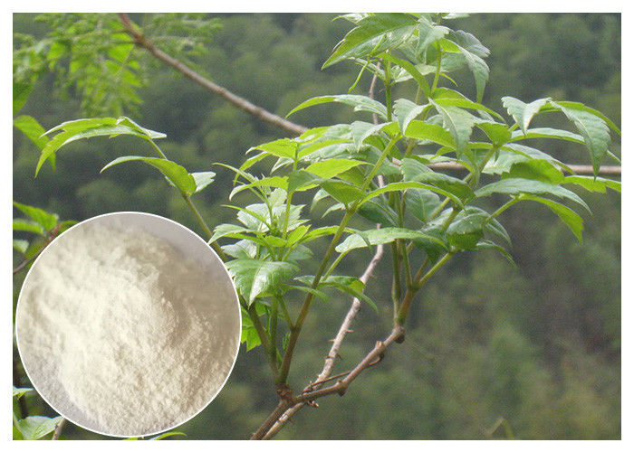 powdered herbal extracts  , for hangover Ampelopsis grossedentata Extract powder